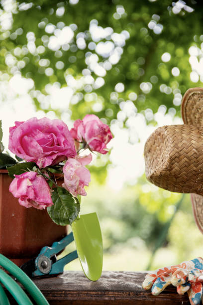 Gardening tools and flowers on wooden board outdoors on sunny day. Copy space. Vertical image