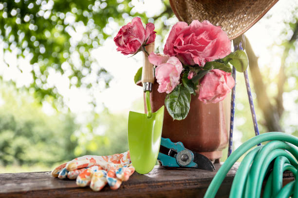 istock Gardening tools in the green backyard 2152051941
