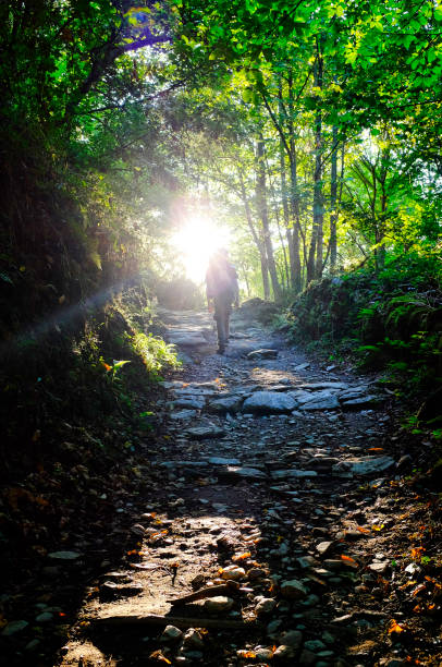 Pilgrim hiking through the woods before O Cebreiro on the Way of Saint James (Camino de Santiago), Castile and León, Spain