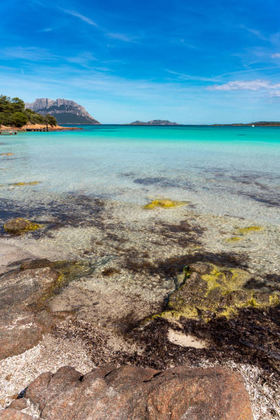 istock Porto Istana beach, Sardinia 2152054212