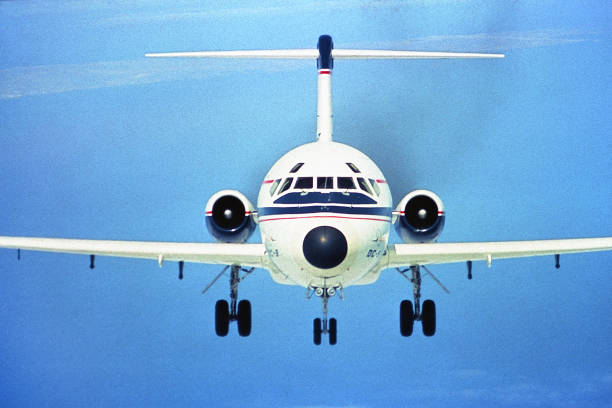 Passenger plane with contrail flies over pine forest