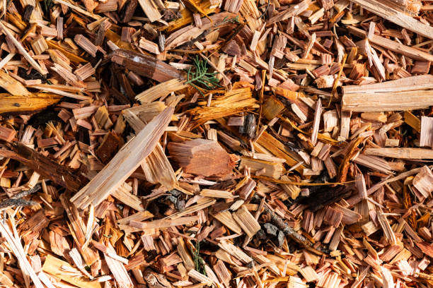 istock Abstract closeup of freshly cut wood chips. 2152059851