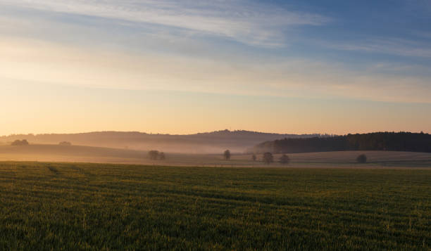 istock Spring Czech landscape with tree in misty fog at sunrise 2152059910