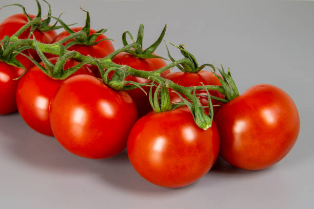 istock A row of red tomatoes are shown on a grey background 2152060813