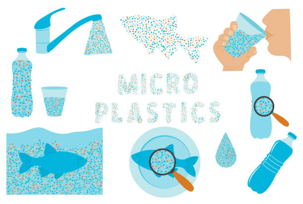 Micro plastic pollution concept. Microplastic in water illustration set. Environmental pollution by toxic waste. Vector illustrations isolated on white background. Micro plastic pollution concept. Microplastic in water illustration set. Environmental pollution by toxic waste. Vector illustrations isolated on white background microplastic stock illustrations