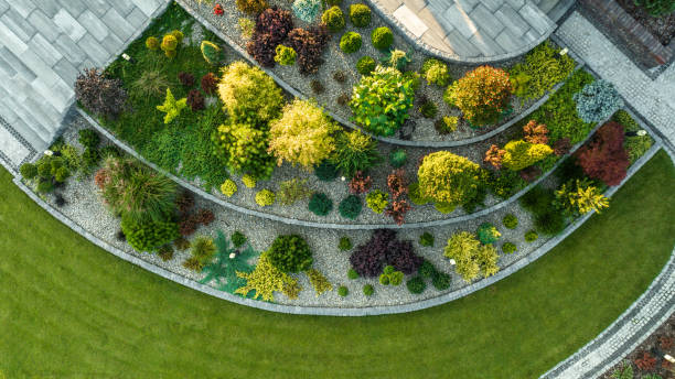 istock Large Modern Residential Backyard Garden 2152064454