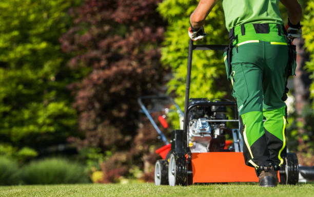 Push lawn mower cutting fresh green grass in a domestic backyard under clear blue sky, showing yard work and perfect lawncare