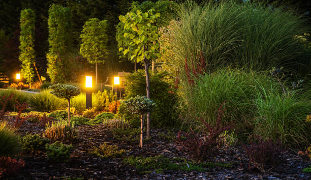 istock Backyard Garden Illuminated by LED Outdoor Garden Lighting 2152064785