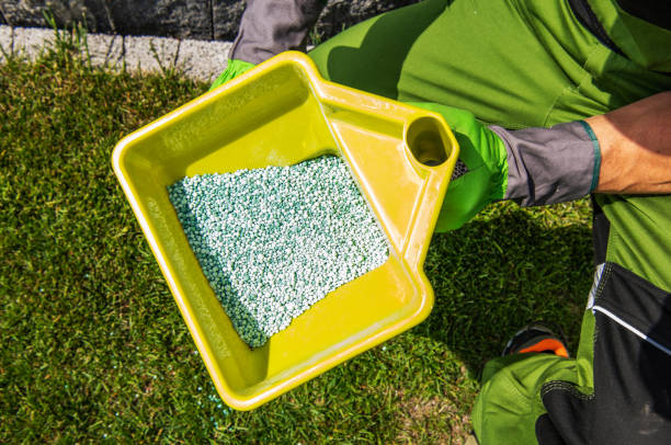 istock Garden Taker Fertilizing Residential Grass Area 2152064896