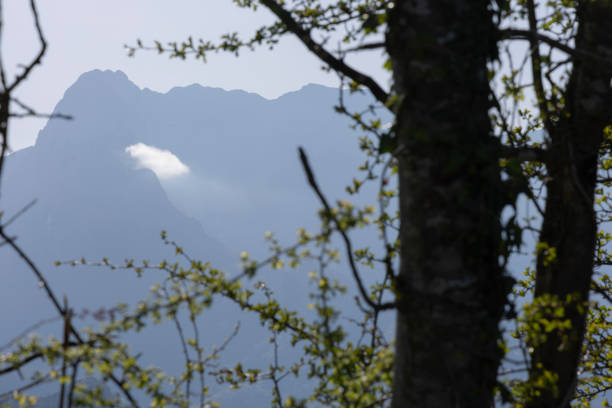 Mountain landscape with peak and cloud on a bright sunny spring day with green vegetation and blue sky