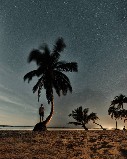 istock Moonlit beach with palms under starry sky in Tulum 2152066790
