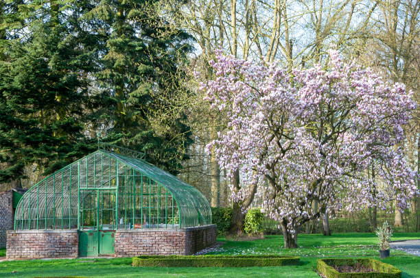 istock greenhouse glass and stonewal 2152067188