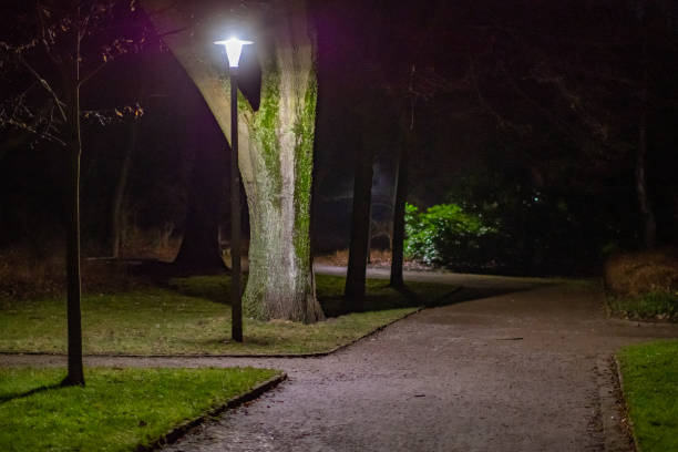 istock streetlamp at night in the park 2152068252