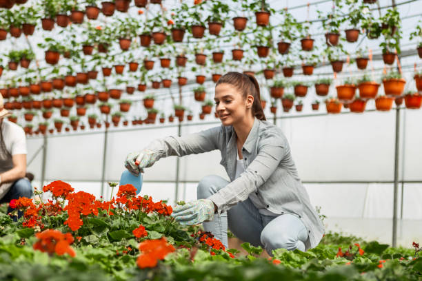 istock Greenhouse Gardener 2152070671