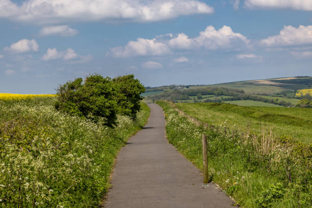 A tarmac pathway alongside farmland in Falmer, in the South Downs