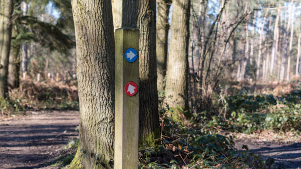 istock Red and blue arrows way marker sign on a trail 2152074103