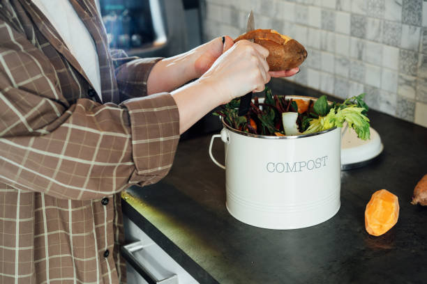 istock Compost the kitchen waste, recycling at home. Woman putting vegetables cutted leftovers into the garbage, compost bin on the table of kitchen. Environmentally responsible, ecology. Selective focus. 2152075465