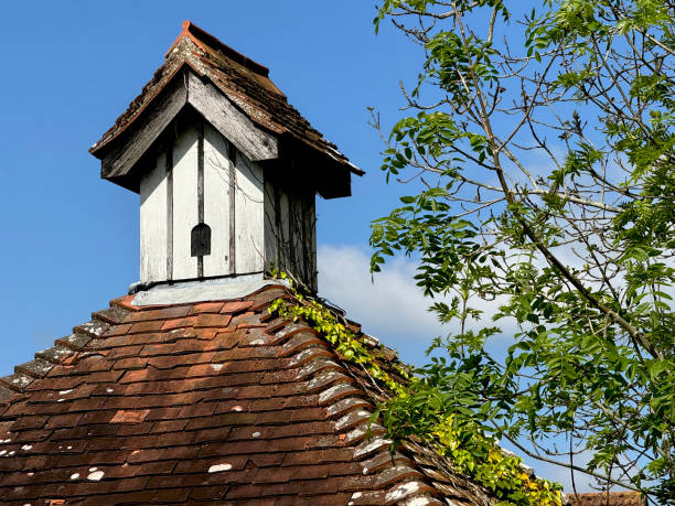 An elderly roof with heavy, traditional tiling, topped by a dovecote.  The building is on the site of a farm now largely overtaken by urban sprawl.