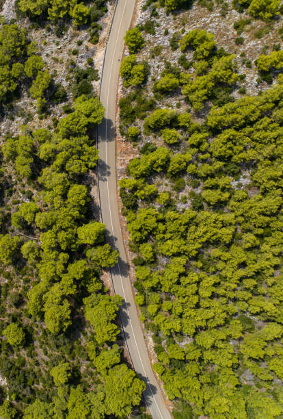 istock VERTICAL: Empty asphalt road runs underneath the pine trees of Korcula island. 2152087593
