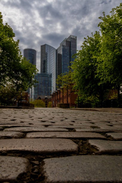 istock Cobblestones on a Treelined Street 2152091801