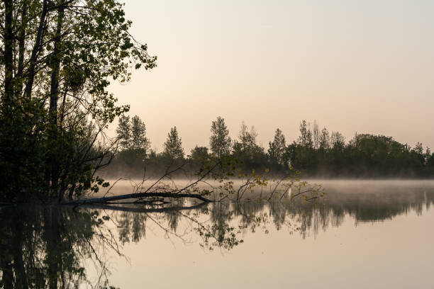 istock Misty Dawn Reflecting Over a Serene Lake 2152095392