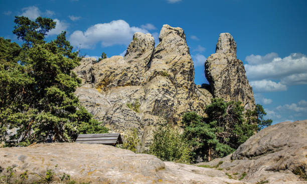 Part of the Devil's Wall (Teufelsmauer), a rock formation made of sandstone, Harz Mountains, Germany