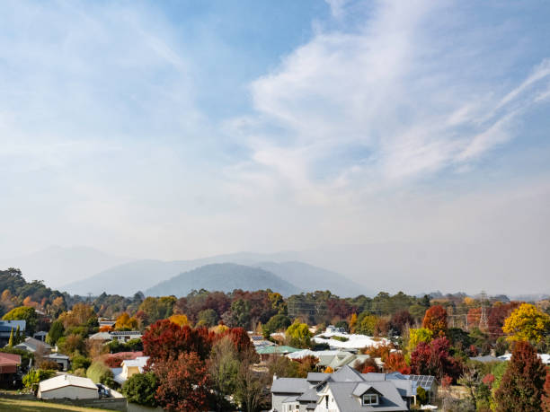 istock Suburban houses and air pollution 2152101256