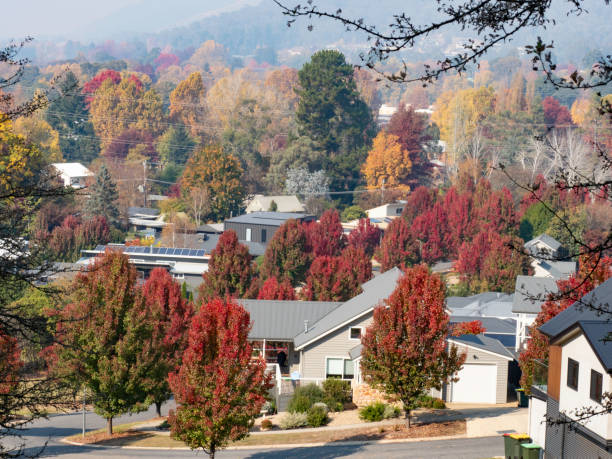 istock Suburban houses and air pollution s 2152101324