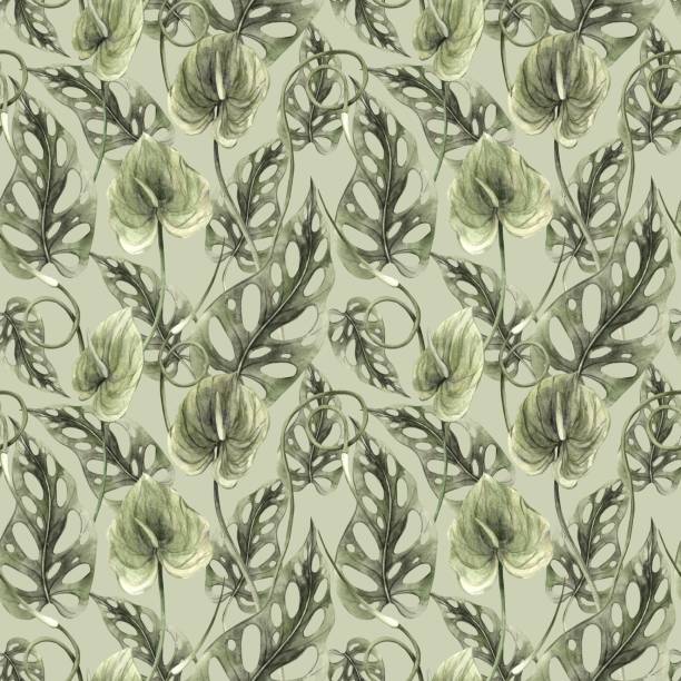 istock Monstera and anthurium flower, pattern of green tropical plants on light green background. Watercolor realistic pattern. Botanical illustration for textiles, cards, weddings and holidays. 2152105989