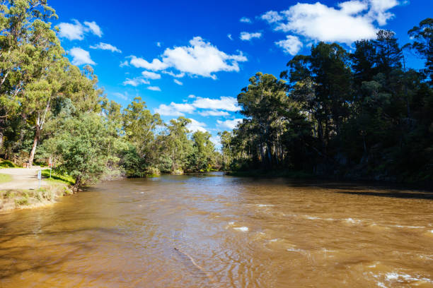 istock Warrandyte River Reserve in Melbourne Australia 2152106438