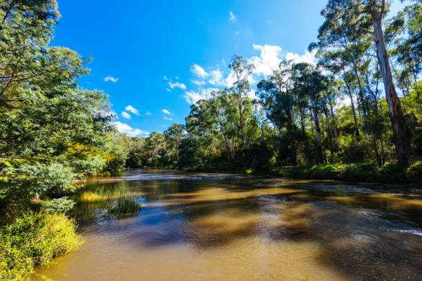 Warrandyte River Reserve and surrounding landscape on a cool autumn day in Warrandyte, Victoria, Australia.
