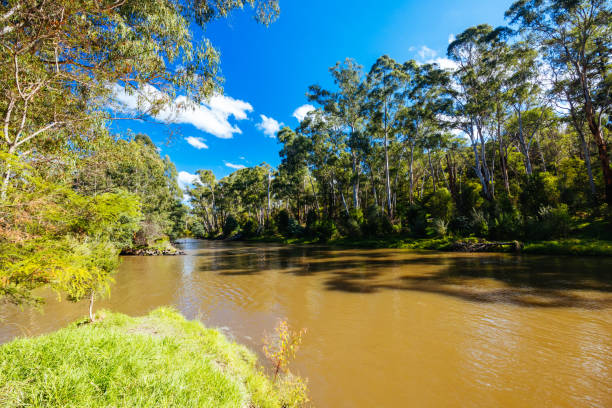 Travellers Creek to the north west of Wodonga near the Murray River