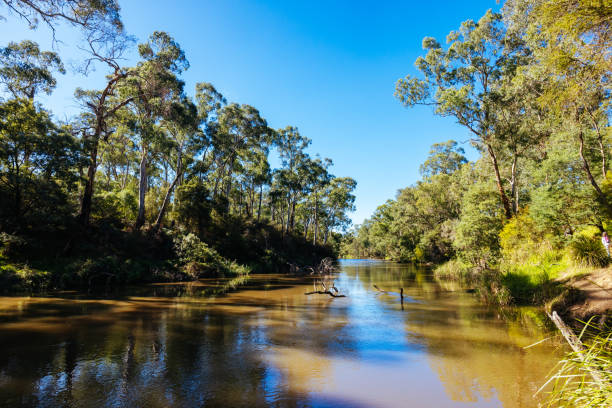 istock Warrandyte River Reserve in Melbourne Australia 2152106448