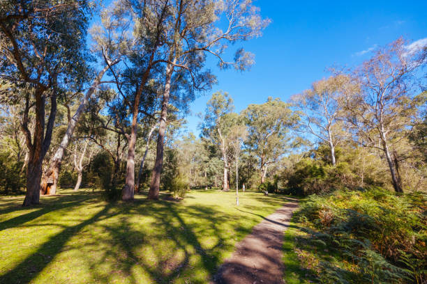 istock Pound Bend Reserve in Melbourne Australia 2152106450