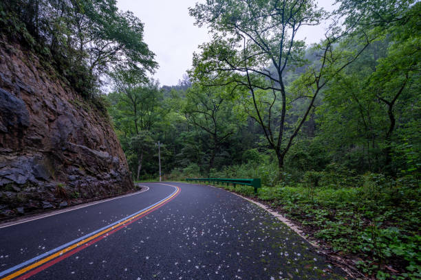Curved road in the mountains