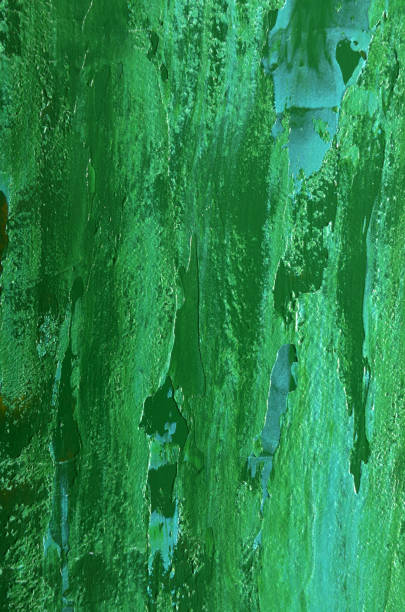 Green torn paper on cardboard