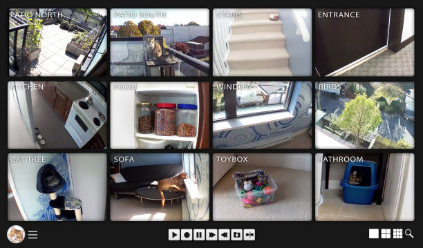 Pet themed security camera monitoring screen.