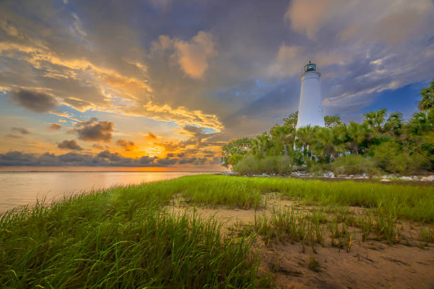 istock Sunset at St. Marks Lighthouse grasses palm trees cloudy sky 2152115237