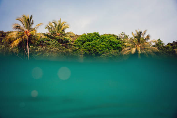istock Looking back at a tropical island from the ocean's surface 2152117531