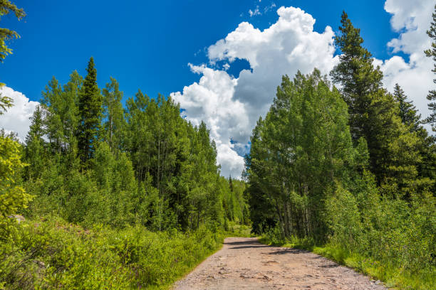 Old Lime Creek Road