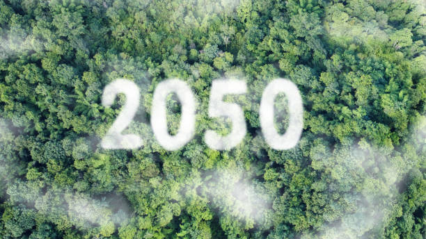 istock Carbon neutral on Top view of nature. Net zero by 2050. 2152122739