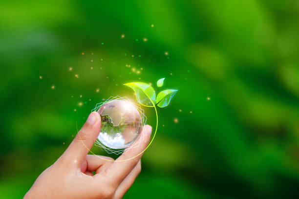 istock Net zero and carbon neutral concept. Net zero greenhouse gas emissions target. 2152122745