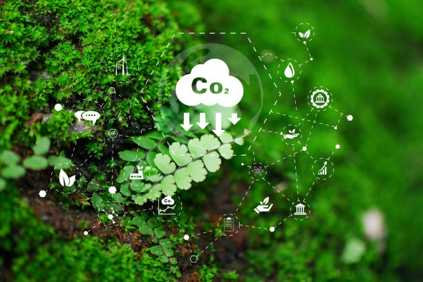 istock icon reduce CO2 emission concept on green leaves Sustainable development, 2152122774
