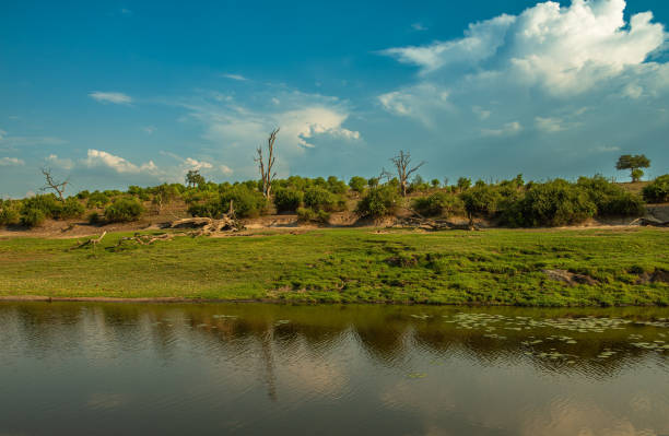 istock View of the landscape at the Chobe River in Botswana 2152126026