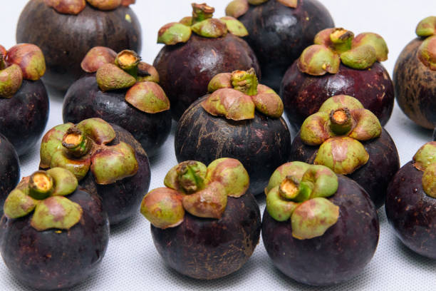 istock Queen of fruit. Mangosteens on the white background. 2152128691