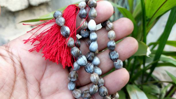 istock tasbeeh plant seeds or beads closeup 2152134283