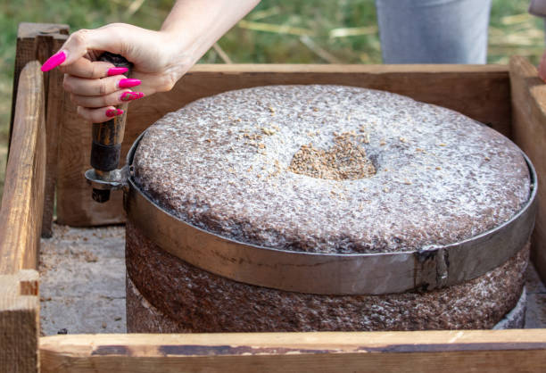 istock A girl grinds flour from a stone to marry 2152134343