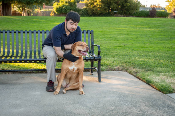 istock Multiracial Man Sitting with Pet Rhodesian Ridgeback Dog in Park 2152134910