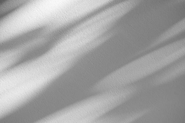 istock Wall interior background, studio and backdrops show products.with shadow from window color white . background for text insertion and presentation product 2152135777