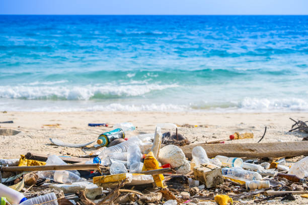 istock Trash, plastic cups and plastic bags at the beach. environmental problem concept and healing the world 2152135821